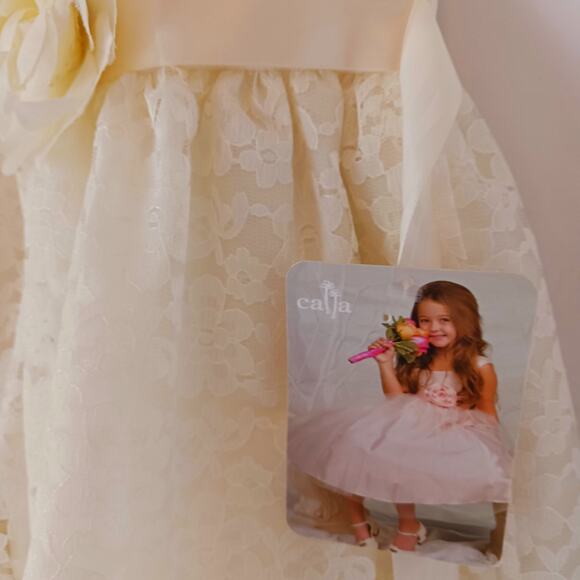 Sophia Young Designs Ivory Lace Flower Girl Pageant Dress Size 6 NWT - Picture 5 of 9